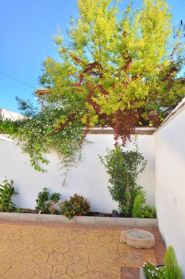 Vil·la Casa Limon Patio Y Parking